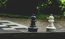 pexels-artur-roman-158558-541538